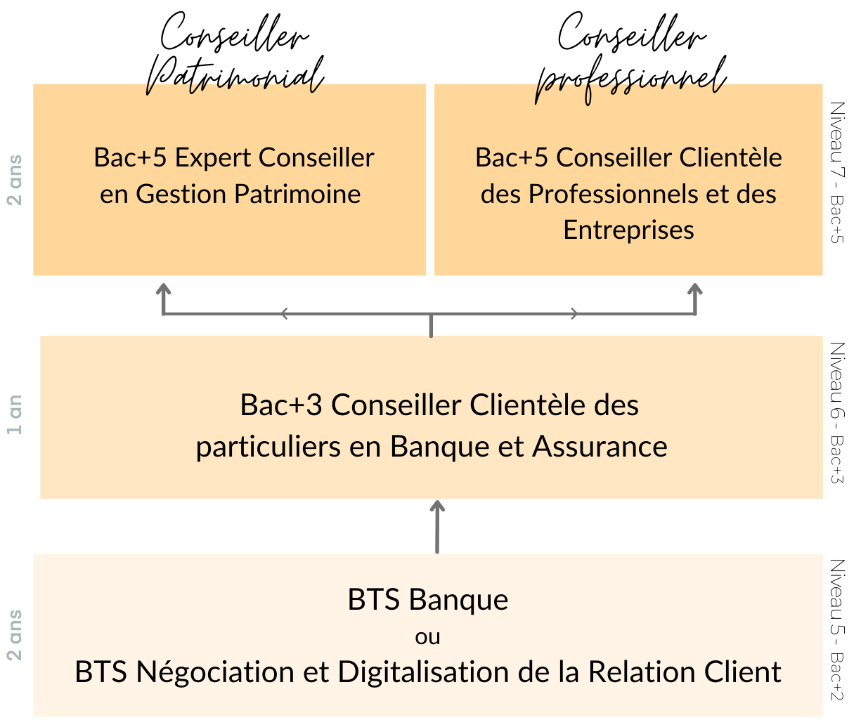 parcours-formation-ifcv-finance